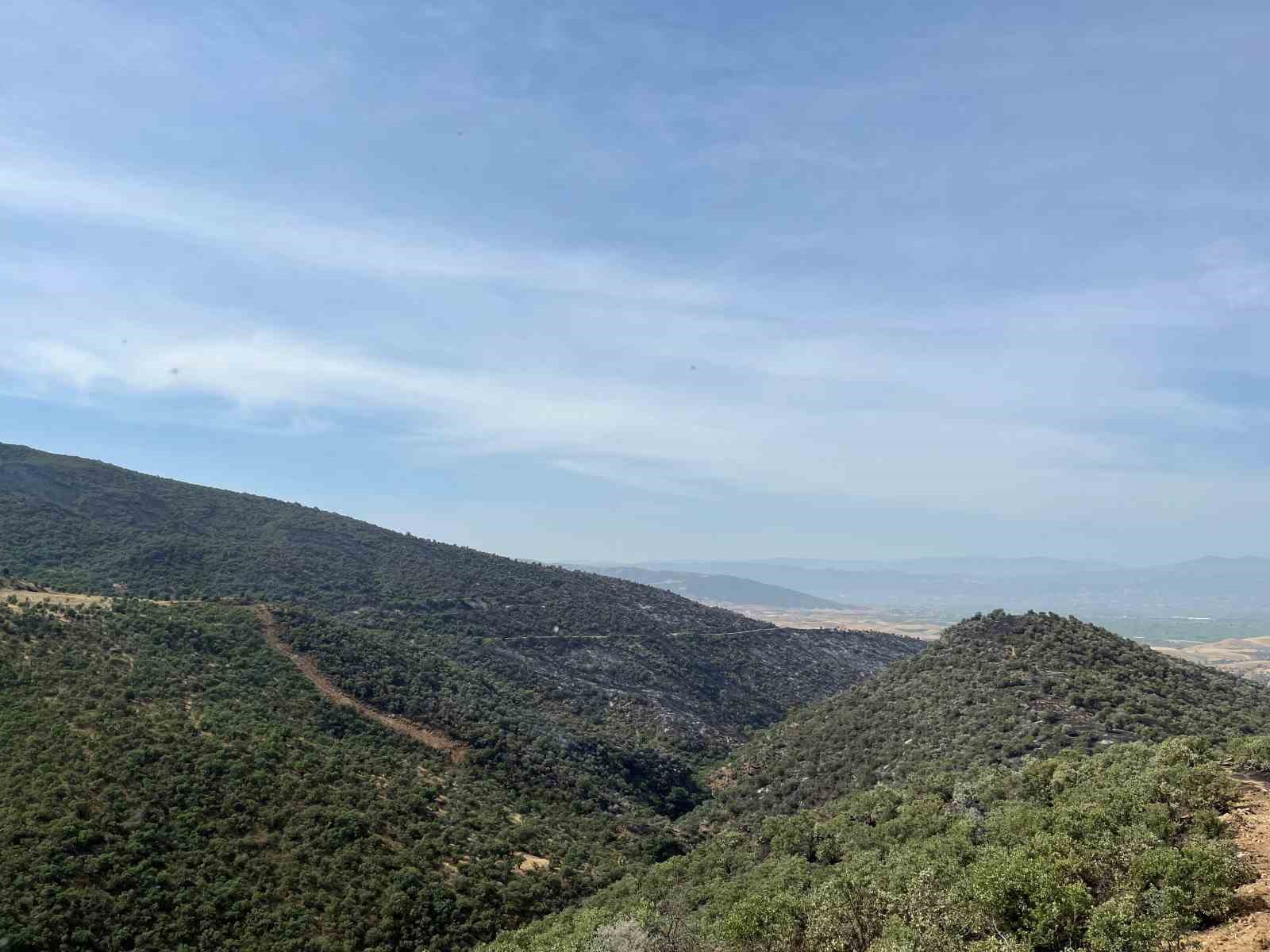 Manisa’daki orman yangını söndürüldü
