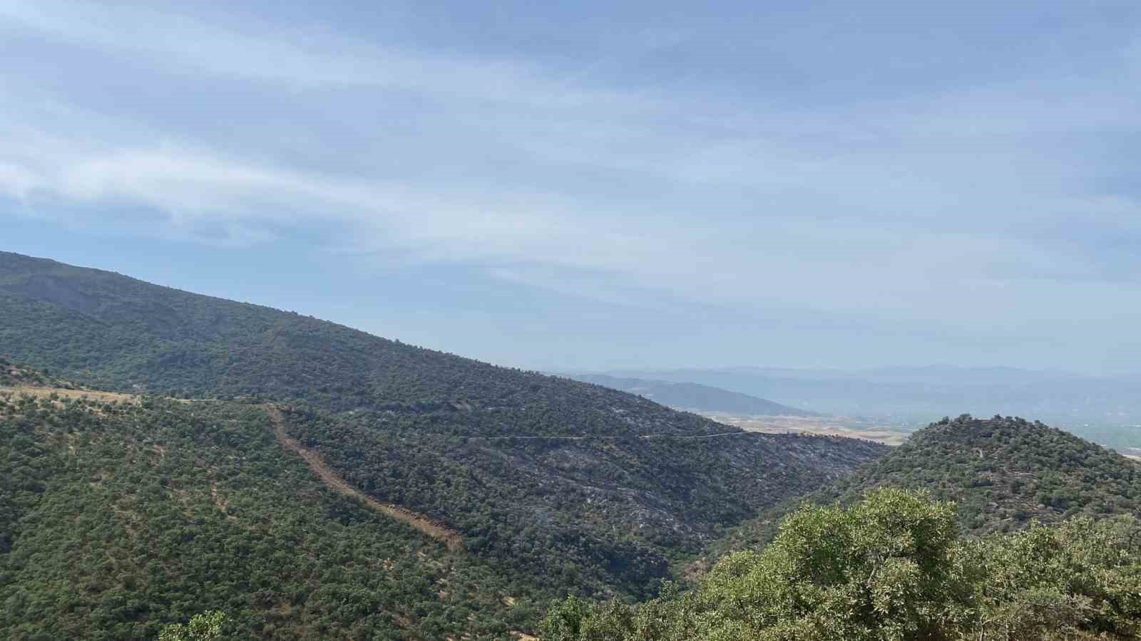 Manisa’daki orman yangını söndürüldü
