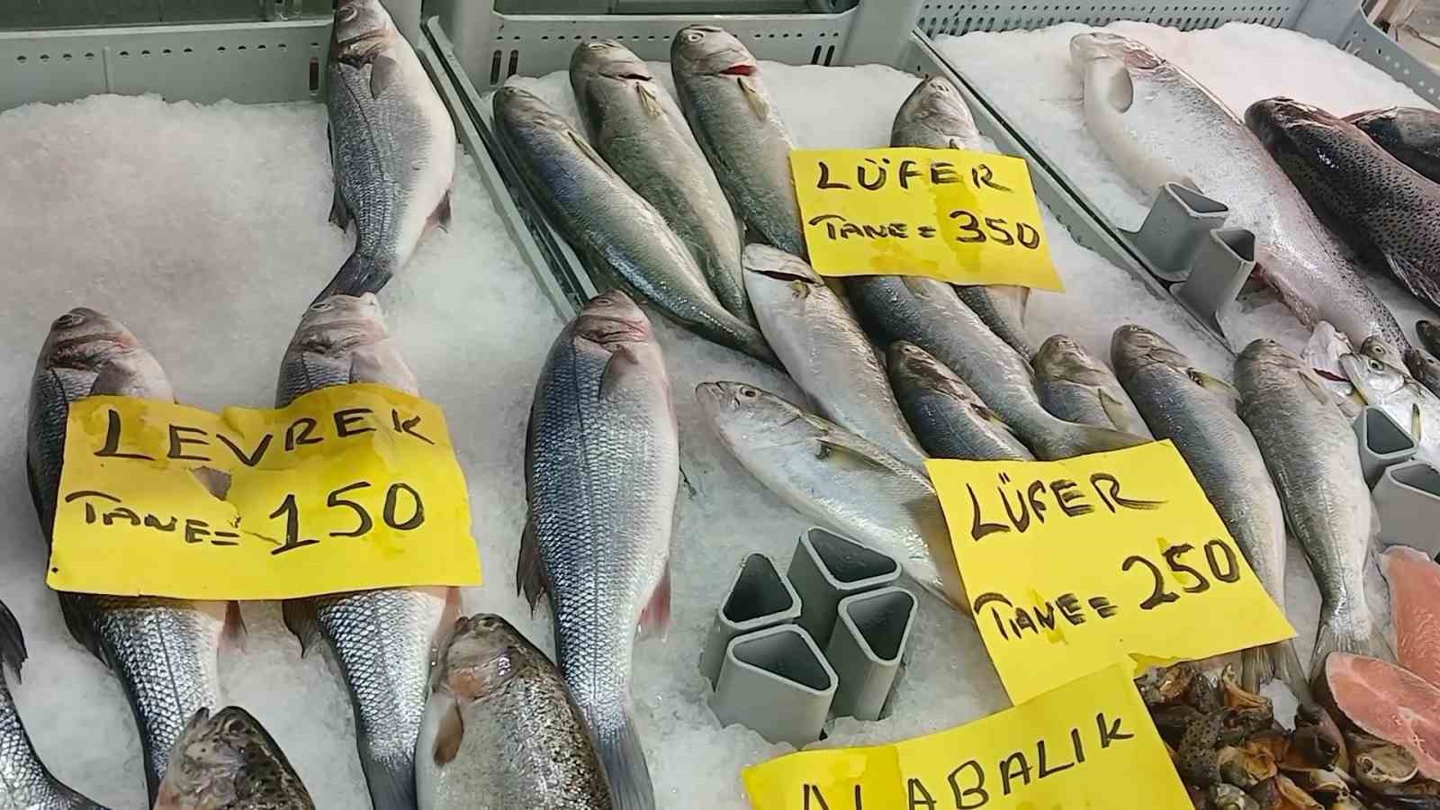 Kurban Bayramı öncesinde balık tezgahlarında son durum
