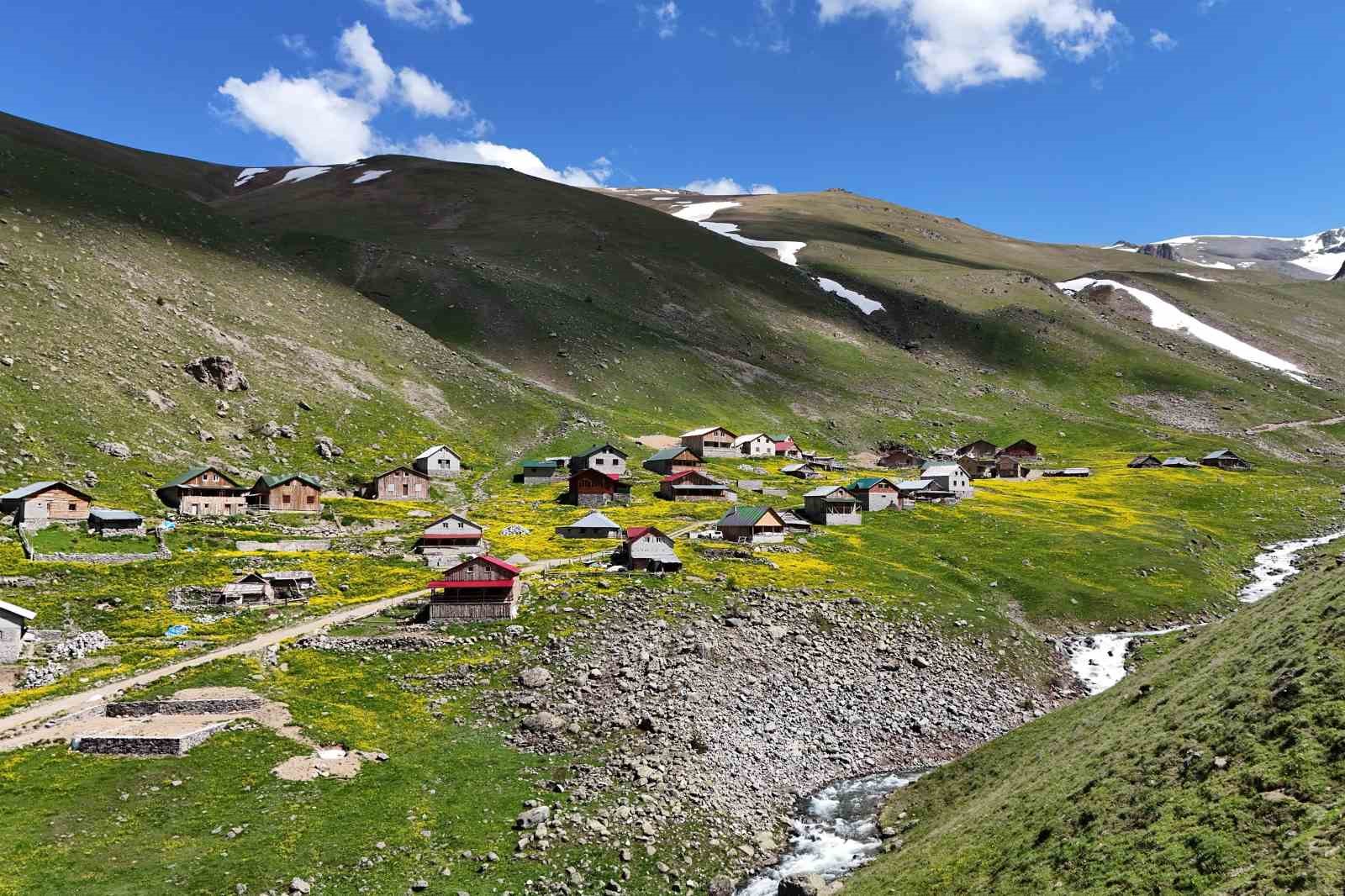 Dulağa Yaylası’nın Alpler’i aratmayan güzelliği
