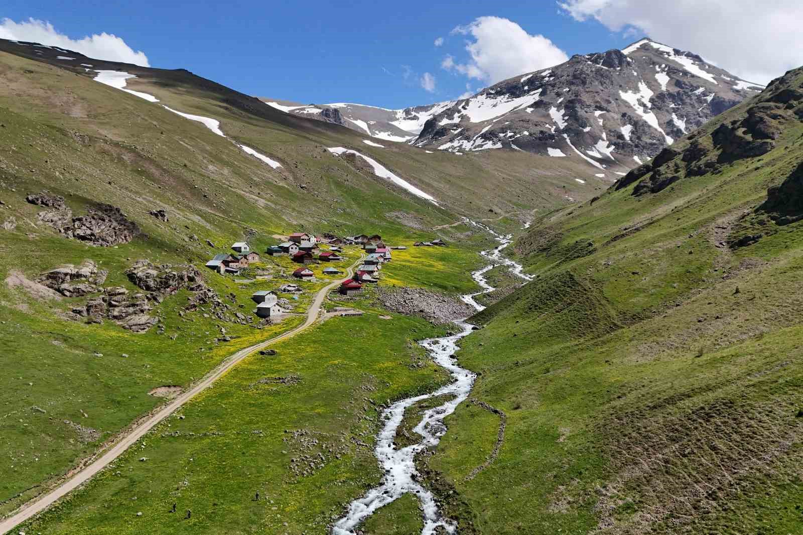 Dulağa Yaylası’nın Alpler’i aratmayan güzelliği
