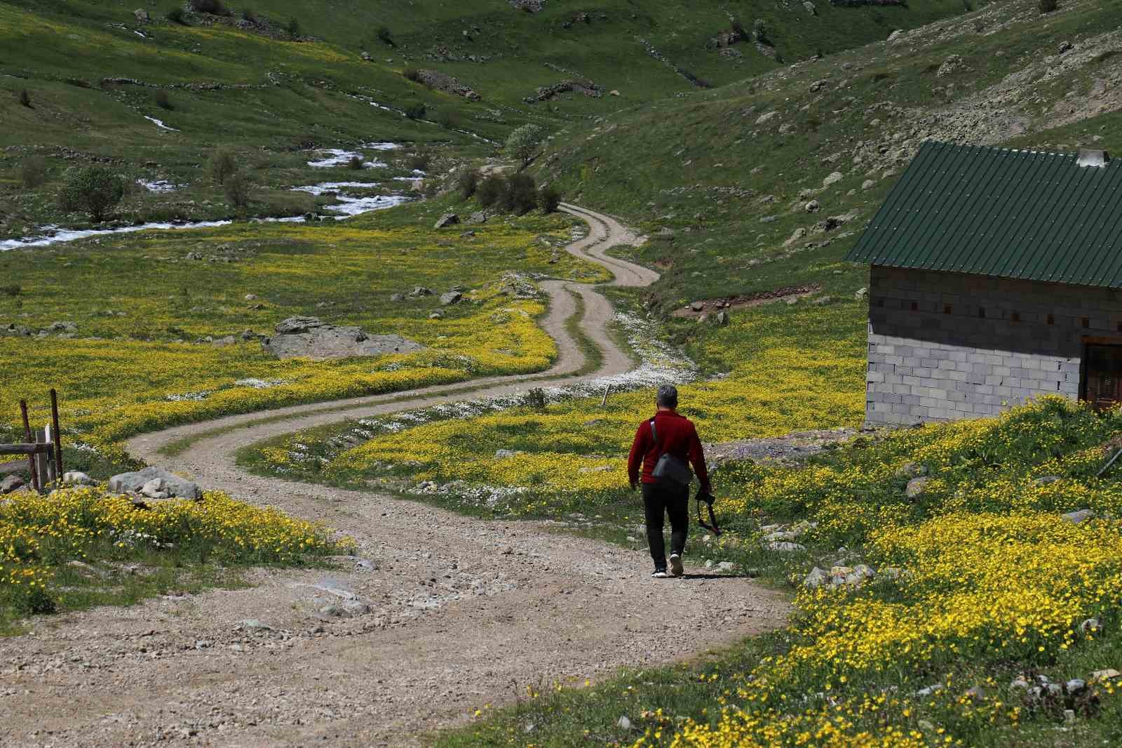 Dulağa Yaylası’nın Alpler’i aratmayan güzelliği
