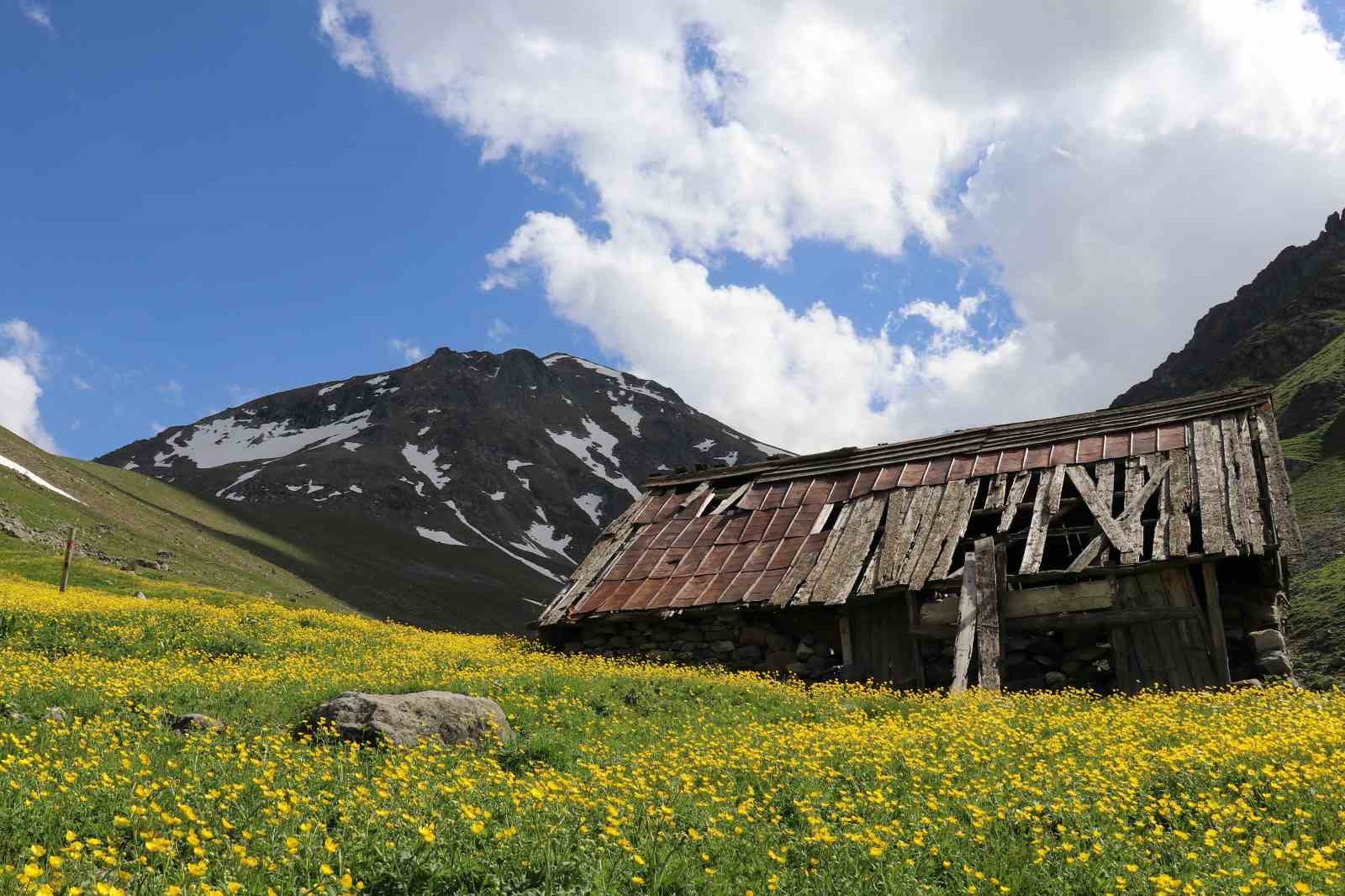 Dulağa Yaylası’nın Alpler’i aratmayan güzelliği
