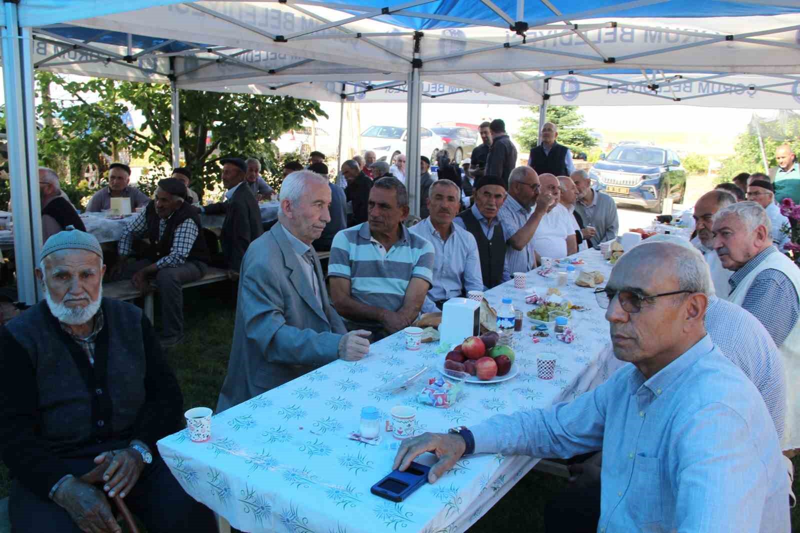 Ulu çınarları buluşturan gelenek
