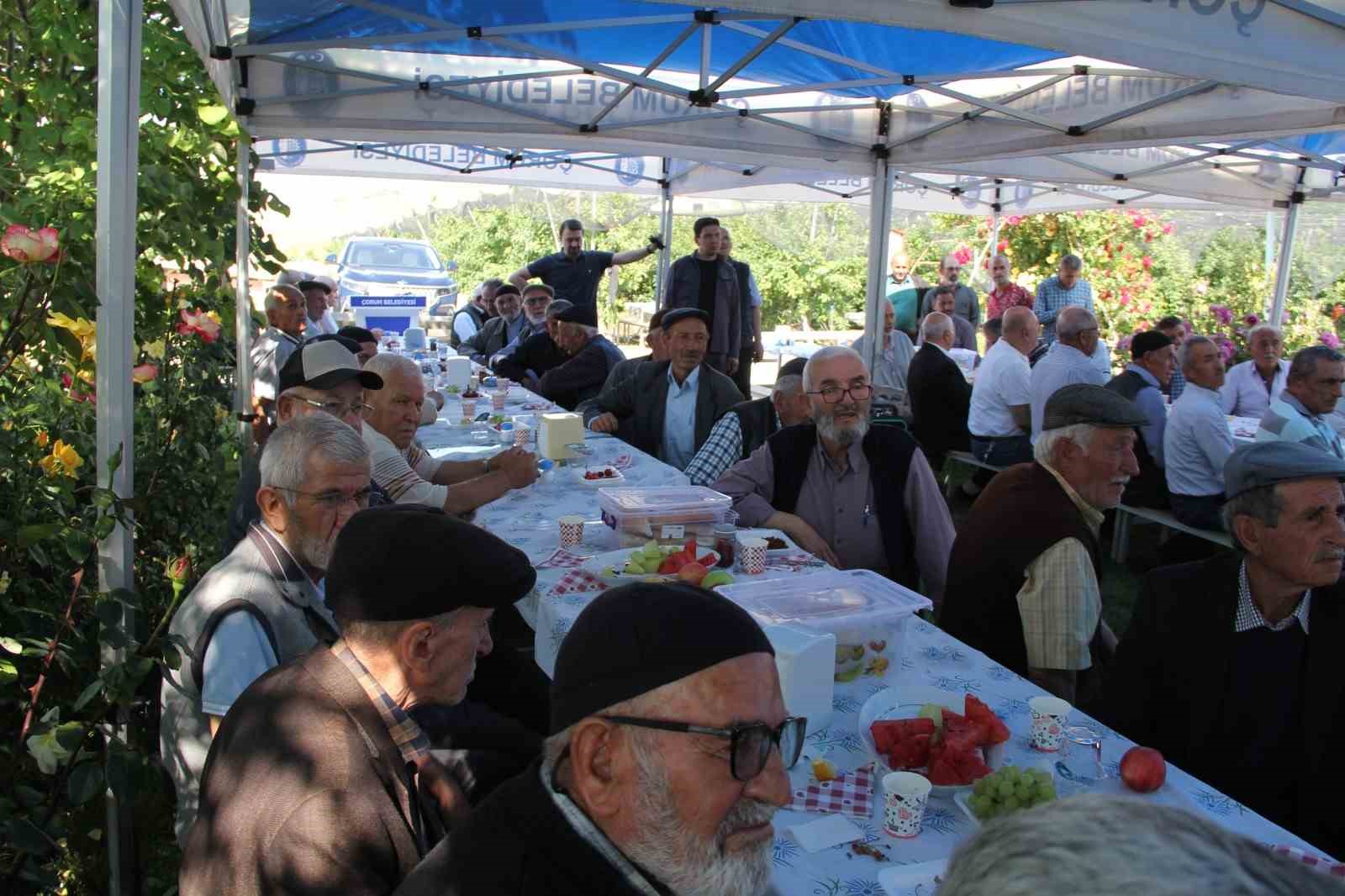 Ulu çınarları buluşturan gelenek
