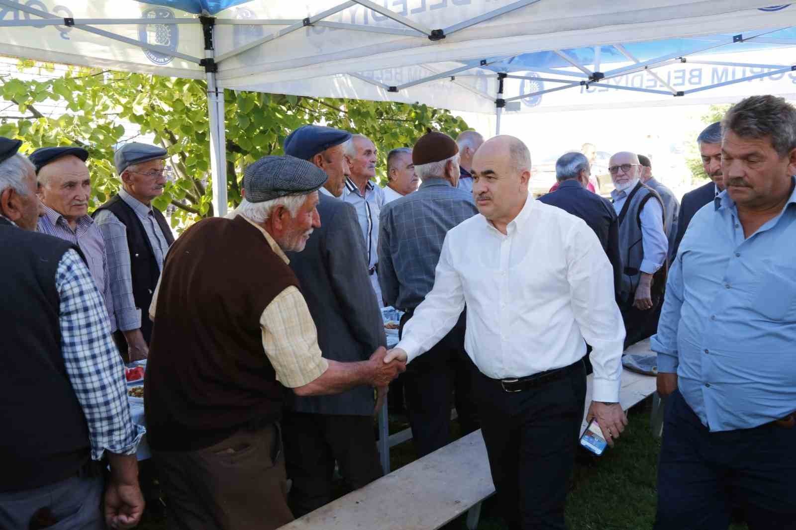 Ulu çınarları buluşturan gelenek
