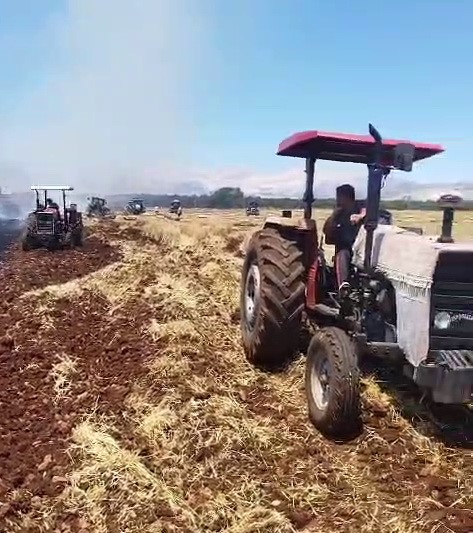 Saman balyaları cayır cayır yandı
