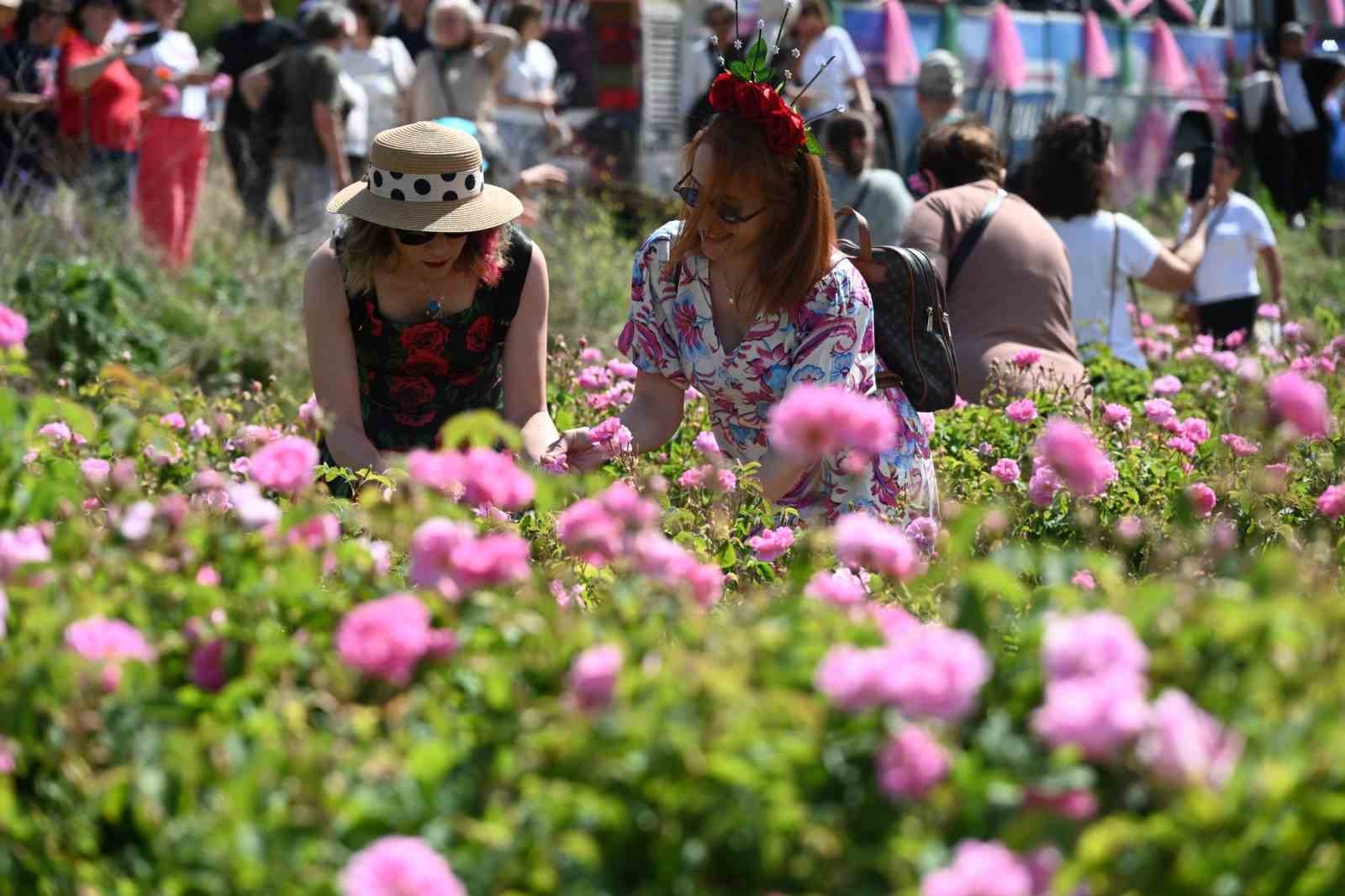 Uluslararası Isparta Gül Festivali gül hasadıyla renklendi
