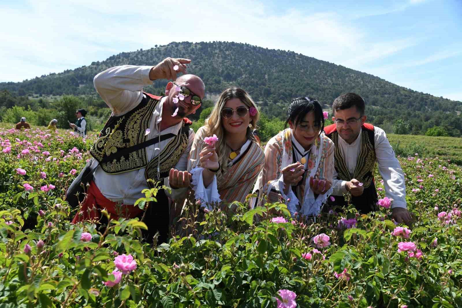 Uluslararası Isparta Gül Festivali gül hasadıyla renklendi
