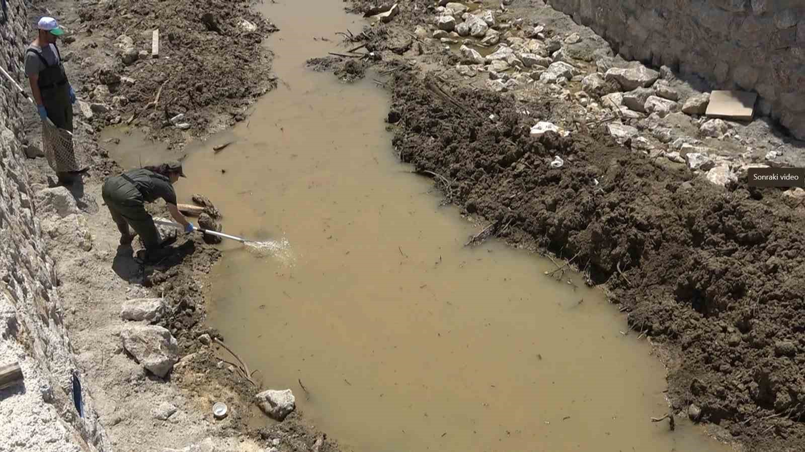 Yalova’da ıslah çalışması yapılan deredeki kaplumbağalar nakledildi
