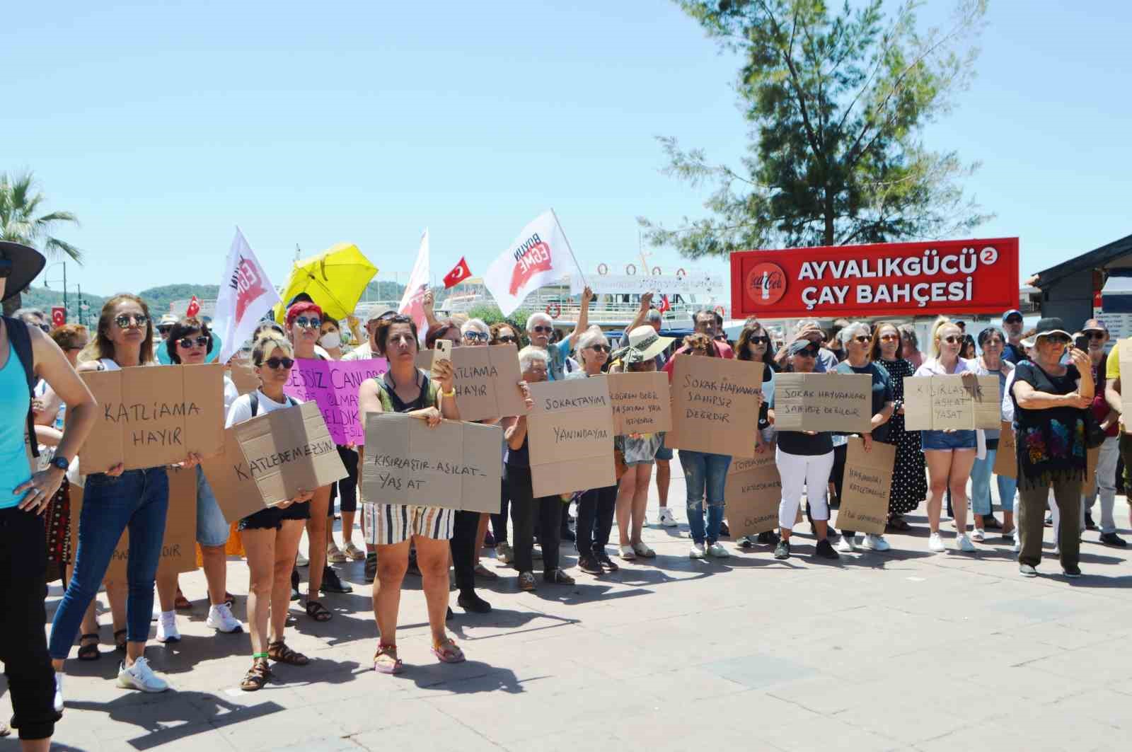 Ünlü televizyoncu Ayvalık’ta sokak hayvanlarıyla ilgili eyleme katıldı
