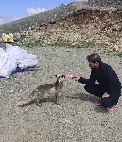 Feride 3. yılında da geldi
