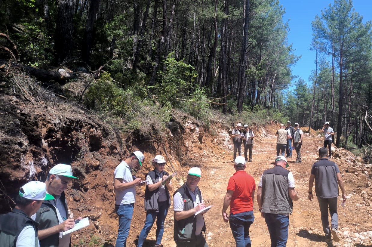 Muğla Orman Bölge Müdürlüğü’nde 