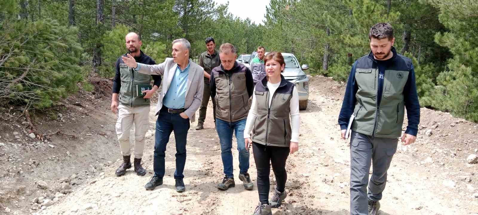 Bölge Müdürü Erdal Dingil, Domaniç ve Altıntaş’ta incelemelerde bulundu
