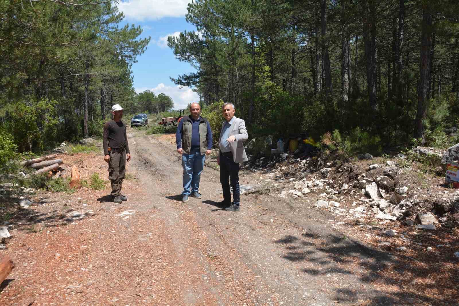 Bölge Müdürü Erdal Dingil, Domaniç ve Altıntaş’ta incelemelerde bulundu
