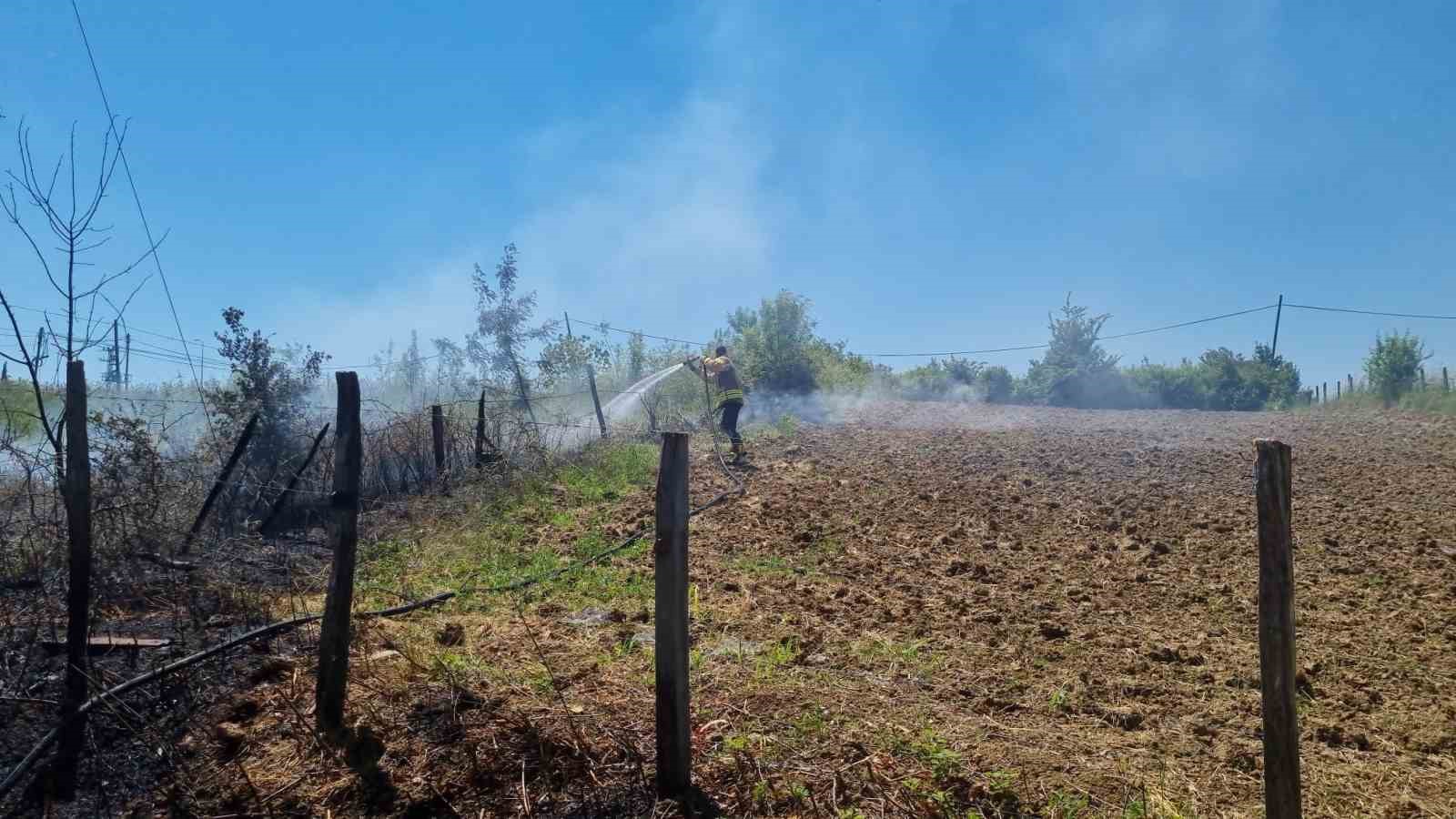 Sinop’ta kuru dallar yandı, elektrik direği zarar gördü
