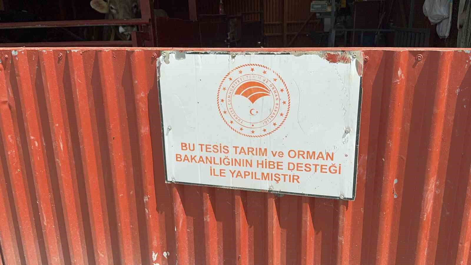 Bakanlıktan aldığı destekle hayvan sayısını 4’e katladı
