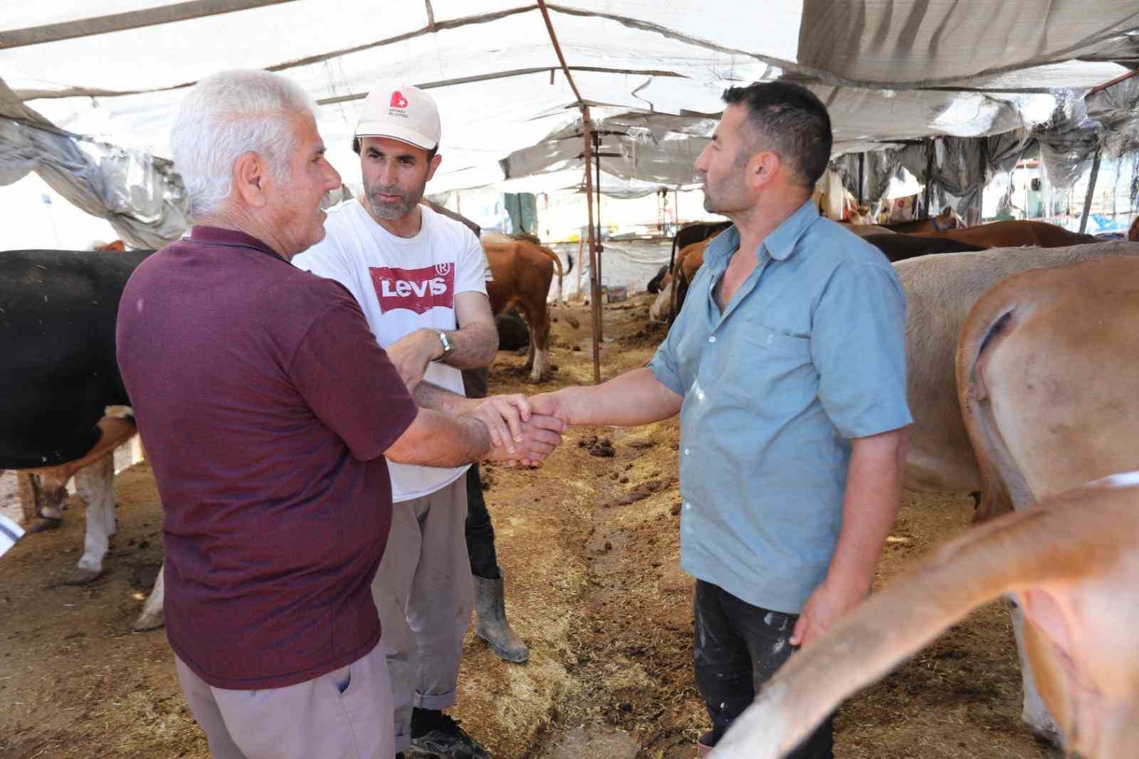 Bayraklı’da Kurban Bayramı’na hazırlıkları
