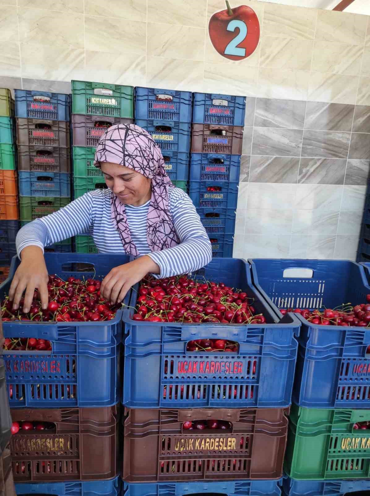 Selendili kiraz üreticileri umduğunu bulamadı
