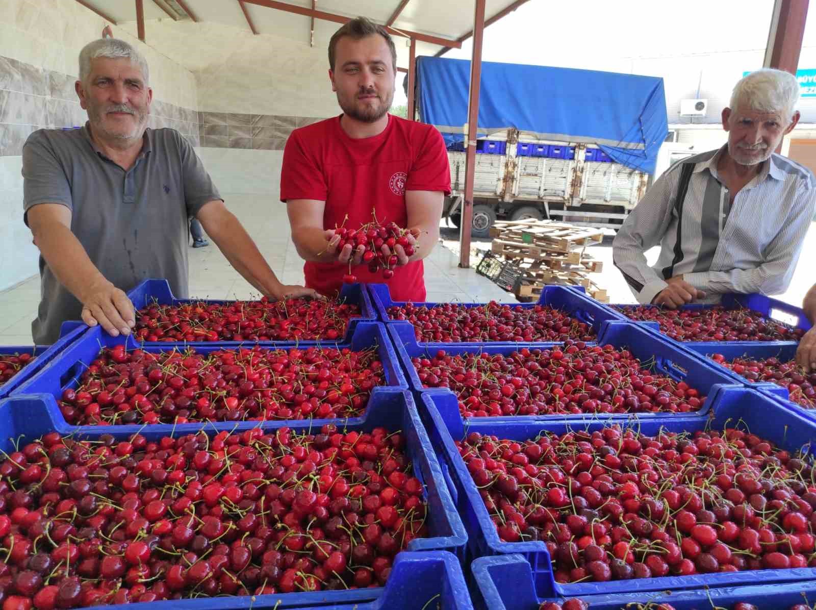 Selendili kiraz üreticileri umduğunu bulamadı
