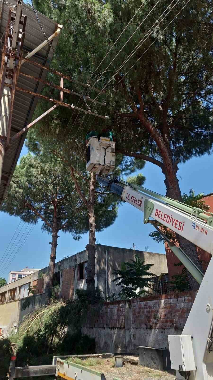 Efeler’de elektrik tellerine temas eden ağaçlar budandı
