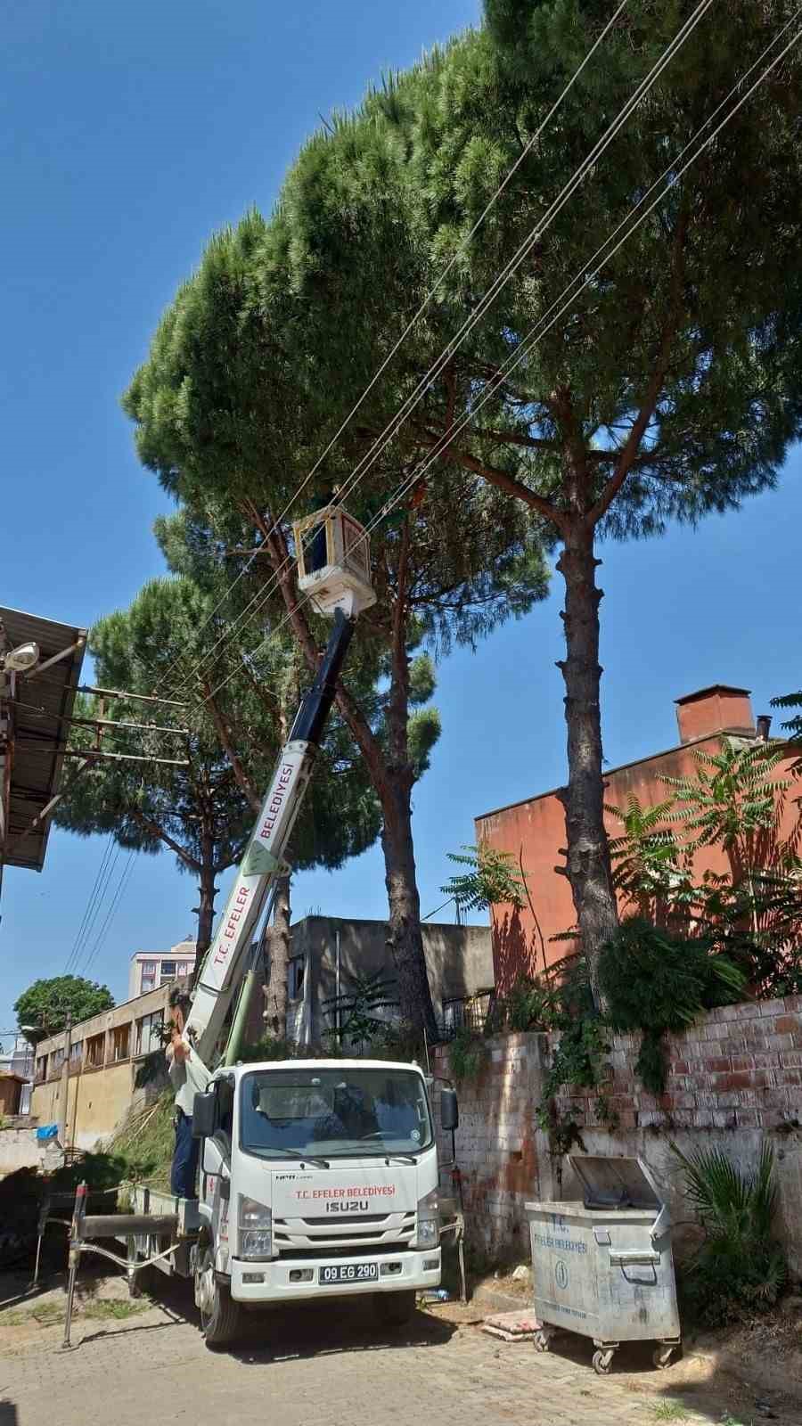 Efeler’de elektrik tellerine temas eden ağaçlar budandı
