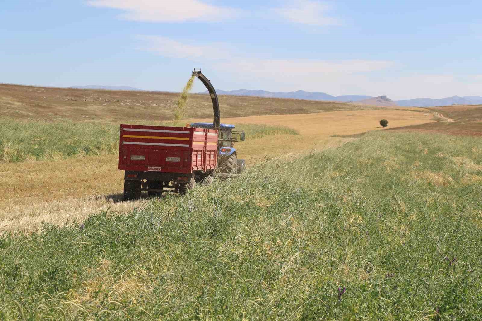 Elazığ Tarım ve Orman Müdürü Kılıç, “879 çiftçiye 1 milyon 730 bin TL ödeme yapıldı”
