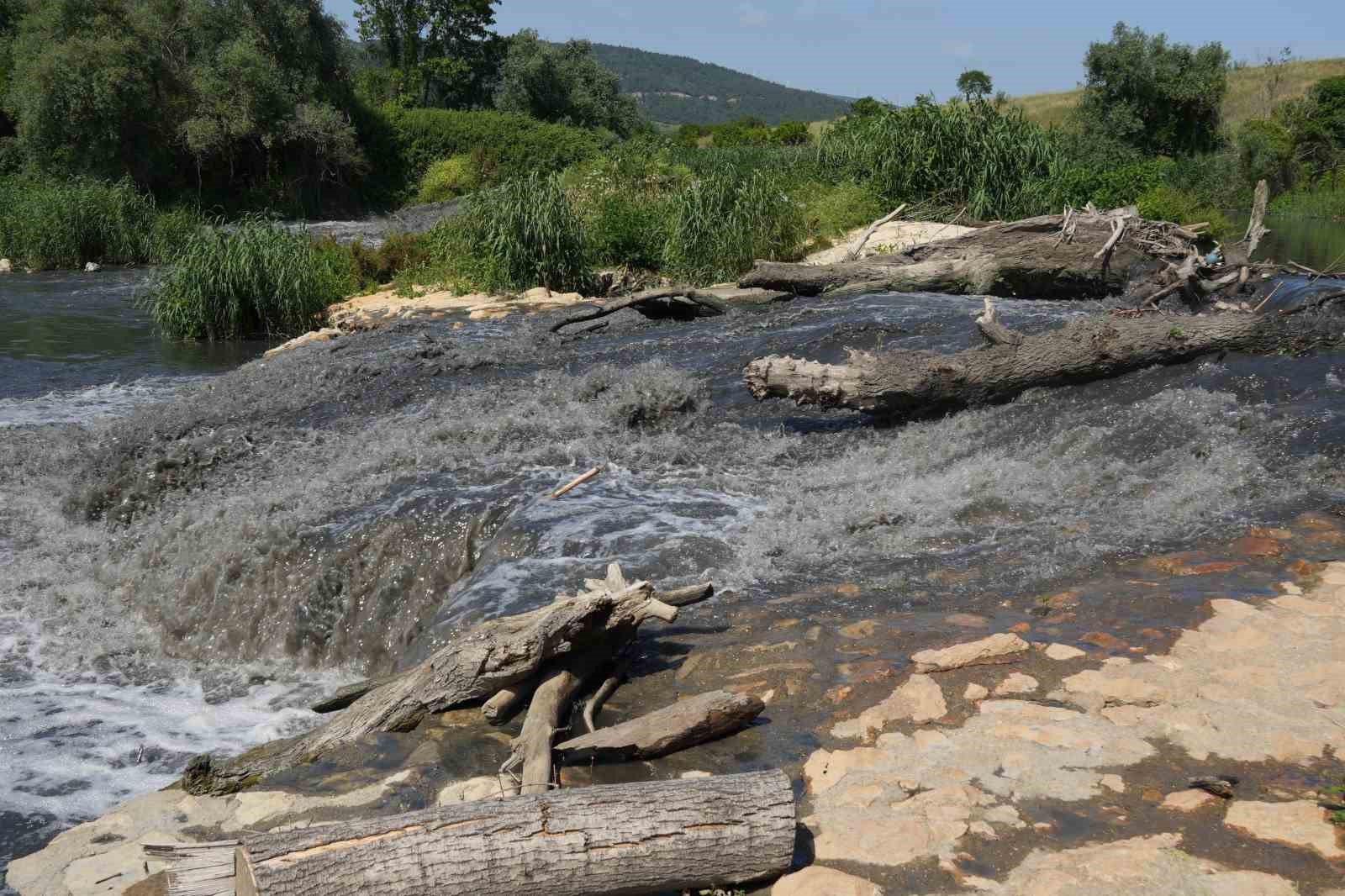 (Özel) İmralı Adası, Karacabey Longozu ve Arap Gölü tehdit altında
