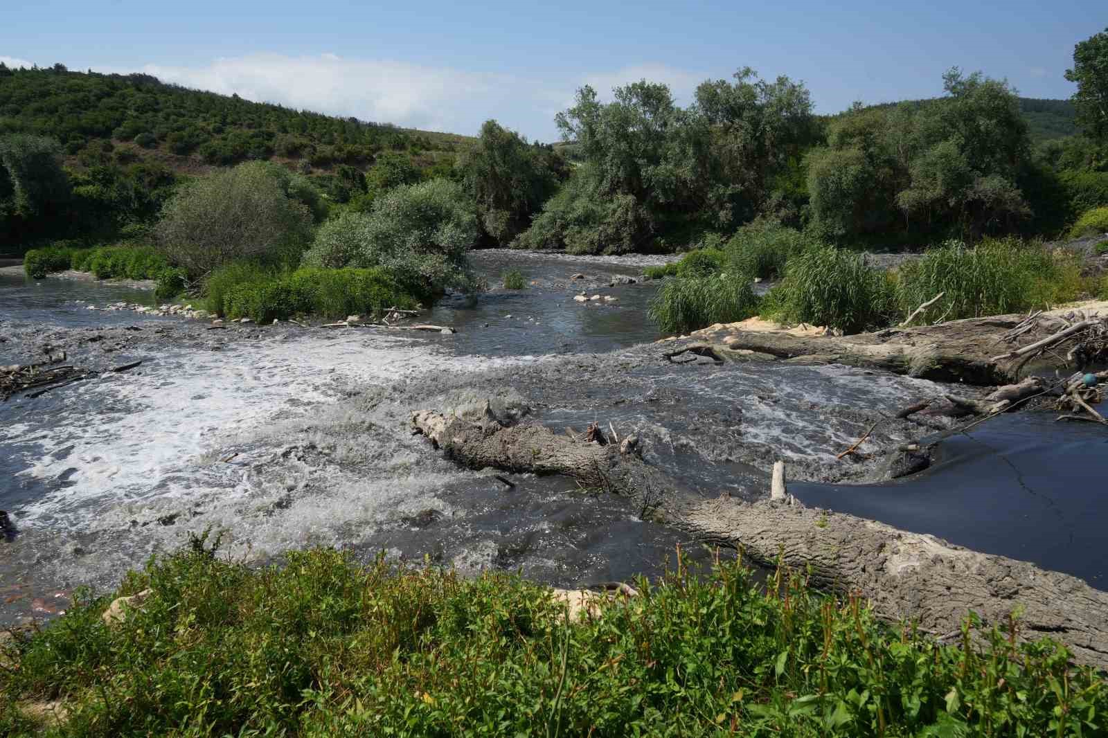 (Özel) İmralı Adası, Karacabey Longozu ve Arap Gölü tehdit altında
