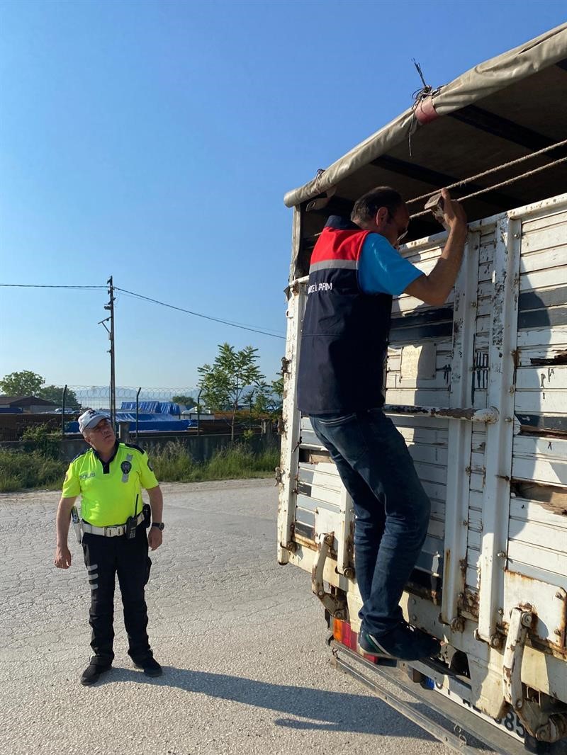 Hayvan sevkiyatına sıkı denetim
