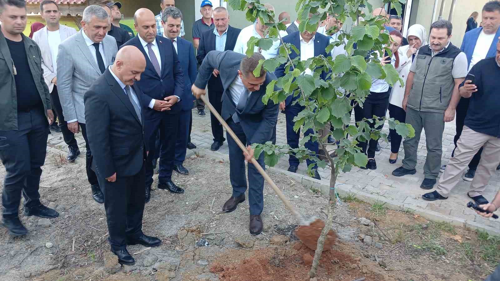 Düzce’de tek ağaç fındık sistemi hayata geçecek
