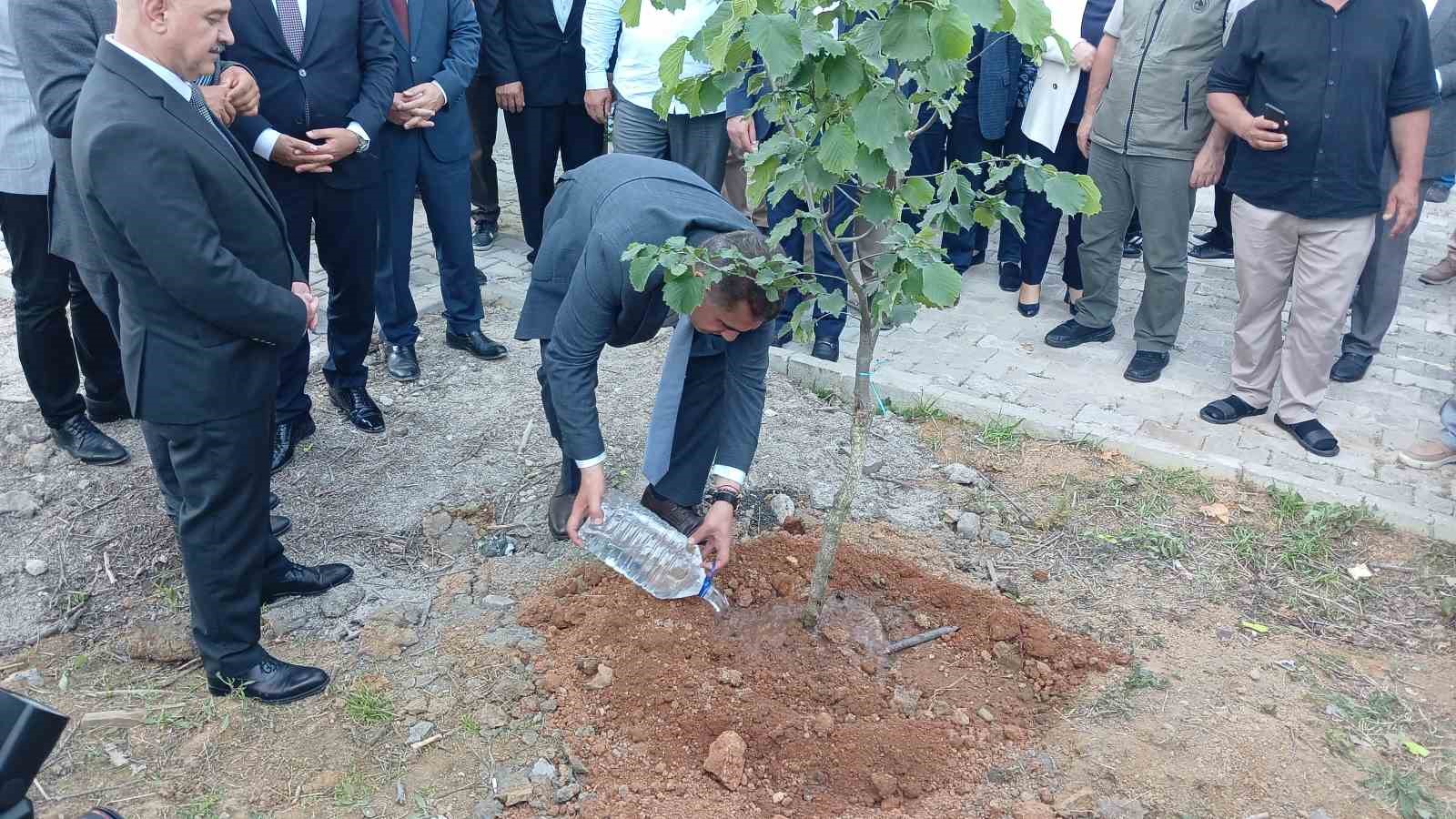 Düzce’de tek ağaç fındık sistemi hayata geçecek
