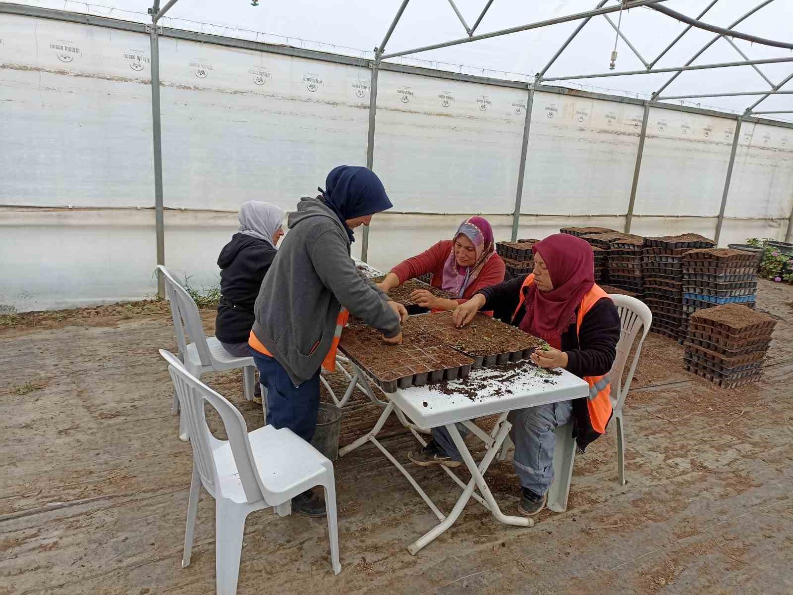 Belediye hem kendisi ekiyor hem de kendisi süslüyor
