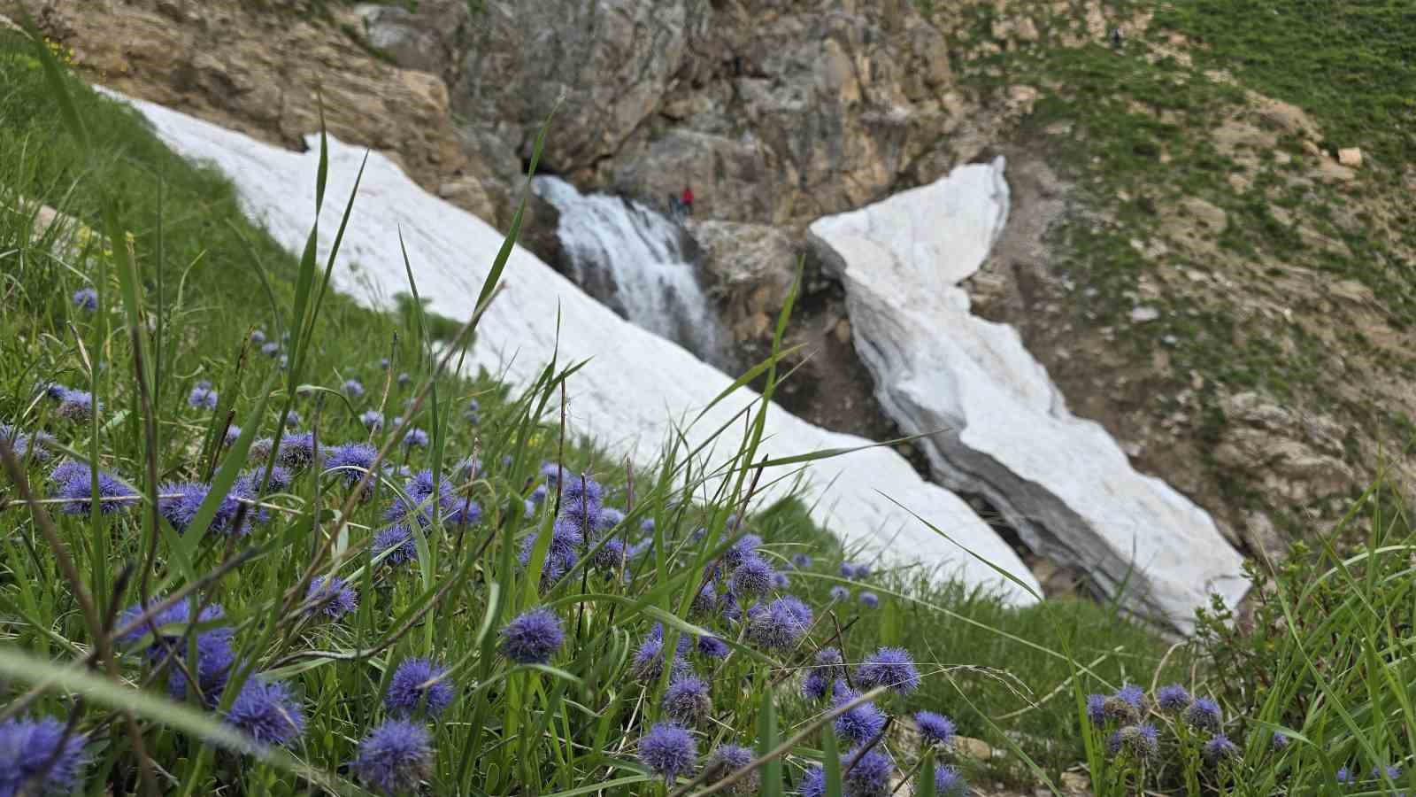 Sason kar tünelleri ve zengin florasıyla hayranlık uyandırıyor
