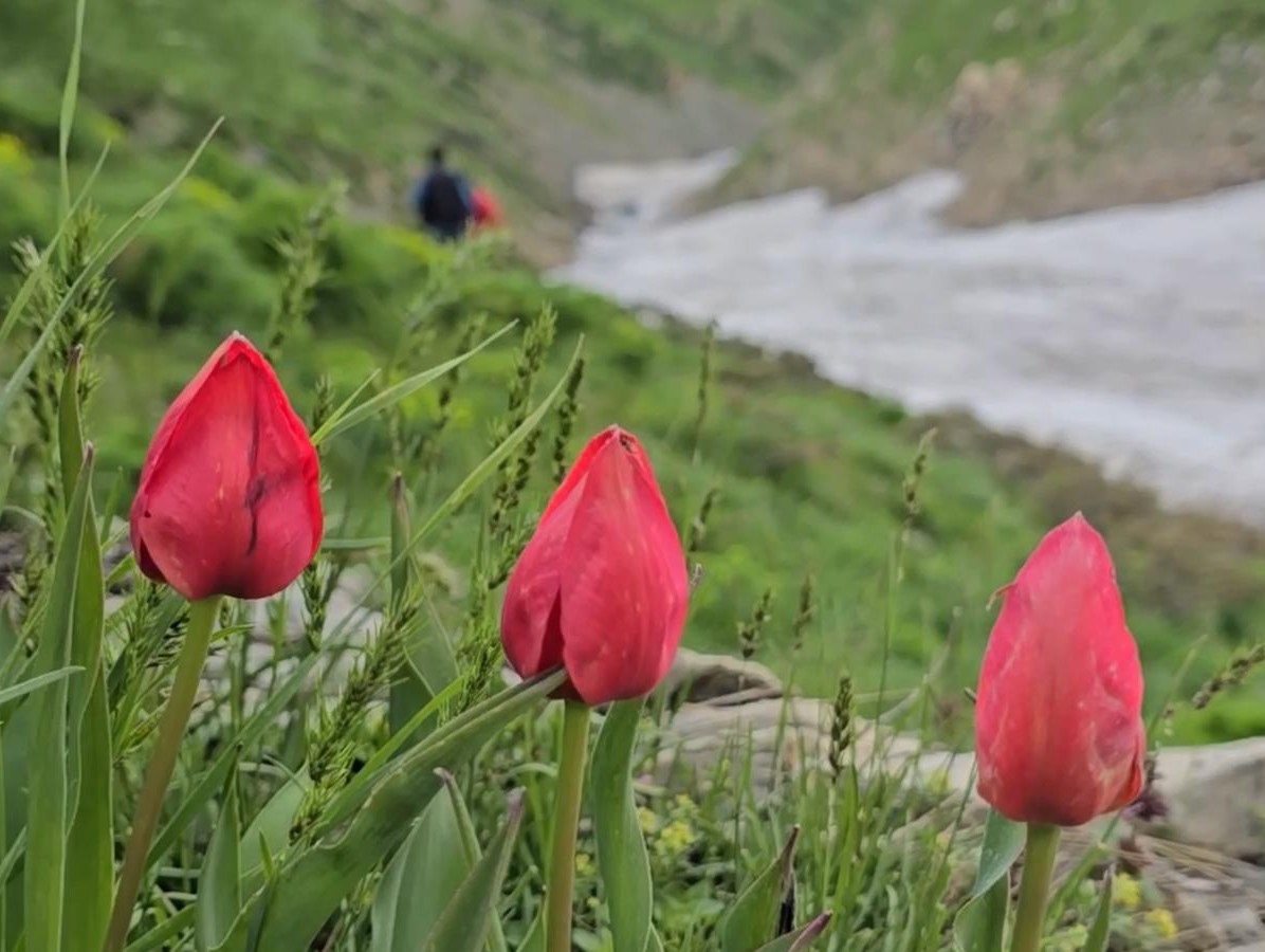 Sason kar tünelleri ve zengin florasıyla hayranlık uyandırıyor
