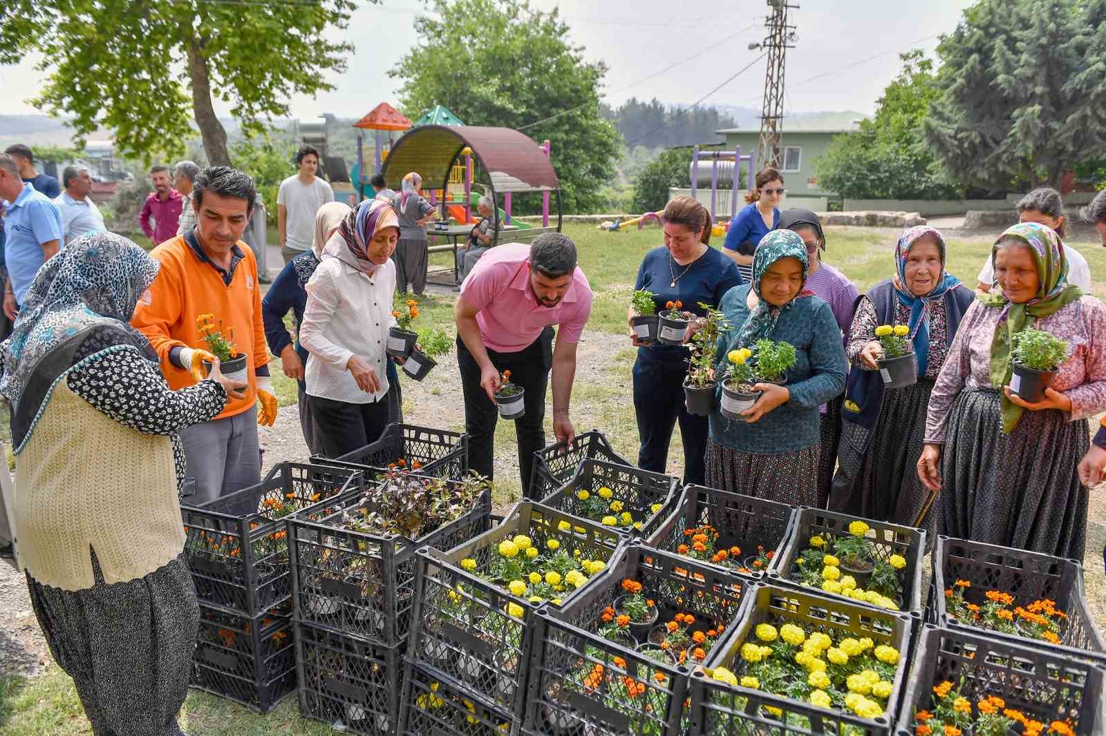 Mersin’de sivrisinek ve haşere ile bitkisel mücadele
