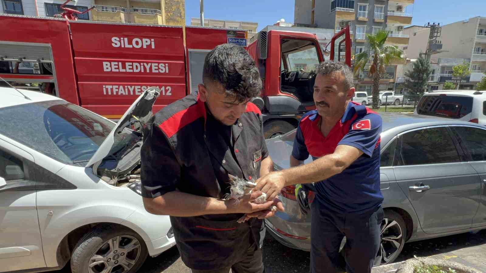 Kaputa sıkışan yavru kedi kurtarıldıktan sonra yıkatılıp süt ikram edildi
