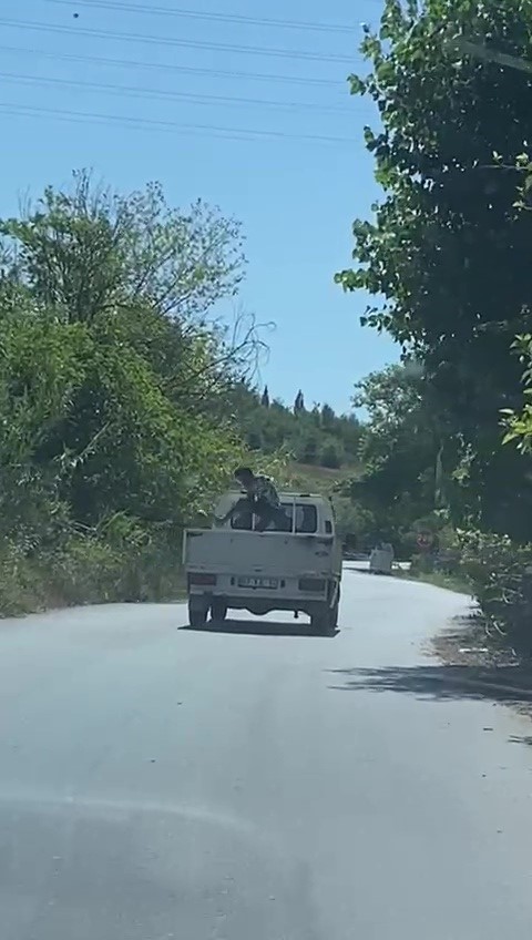 Elde kalan karpuzları tekmeyle kamyonet kasasından yola fırlattı
