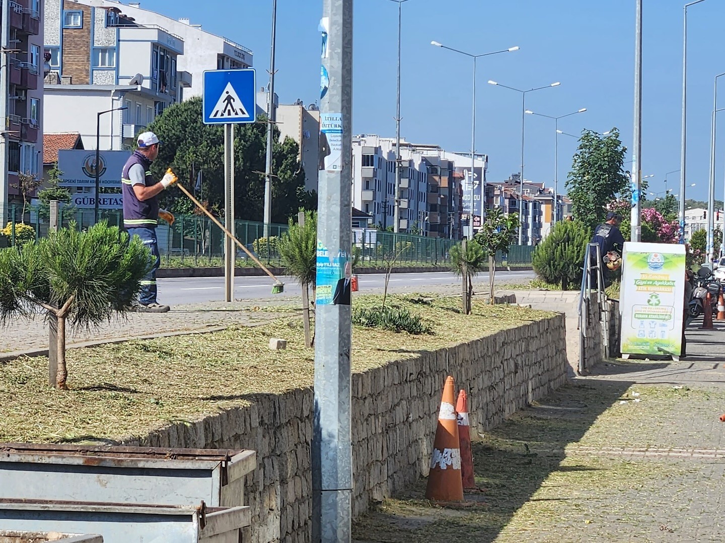 Lapseki’de yabani otlar temizleniyor
