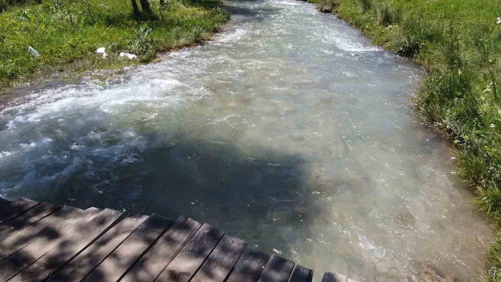 Havaların ısınmasıyla birlikte piknik alanları doldu taştı
