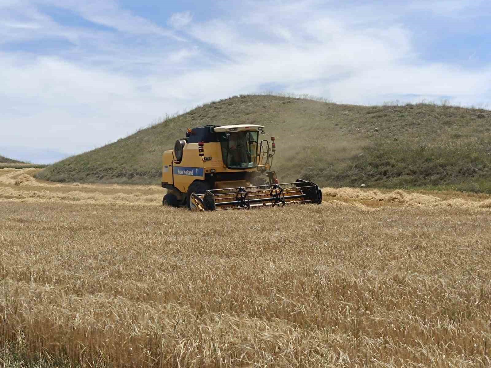 Sungurlu’da 2024 yılı hasat sezonu açıldı
