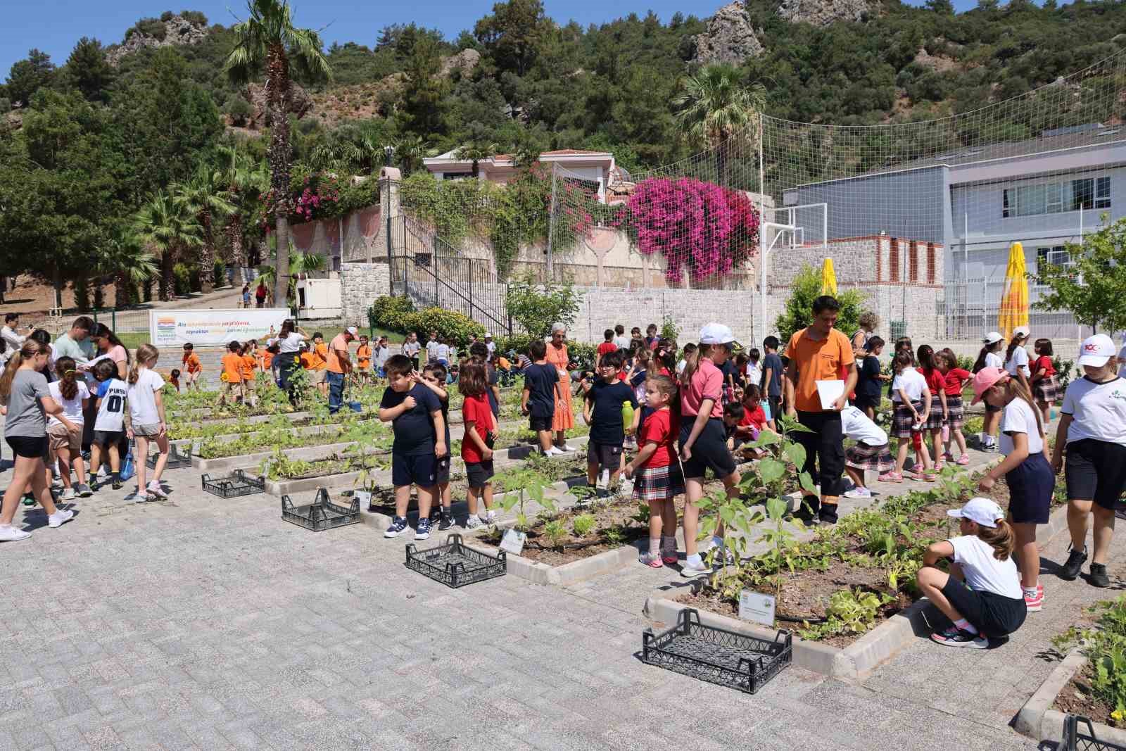 Marmaris’te Başkan Ünlü ve çocuklardan son hasat
