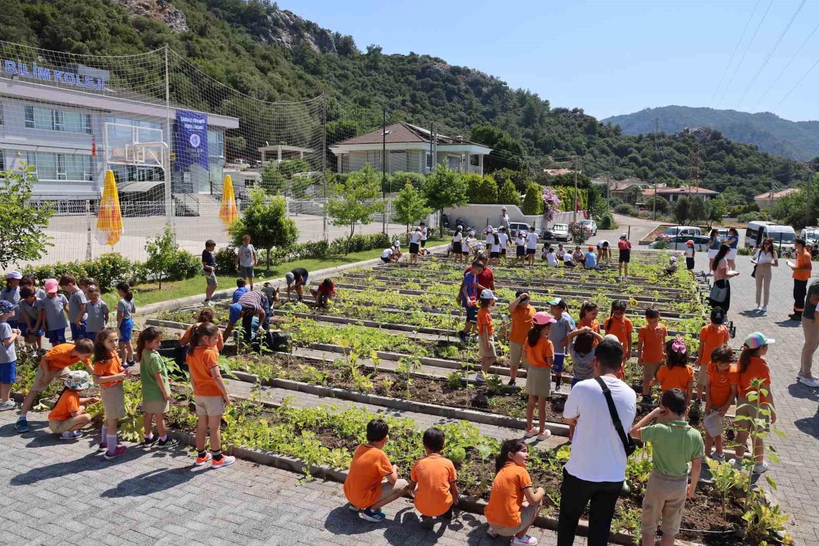 Marmaris’te Başkan Ünlü ve çocuklardan son hasat
