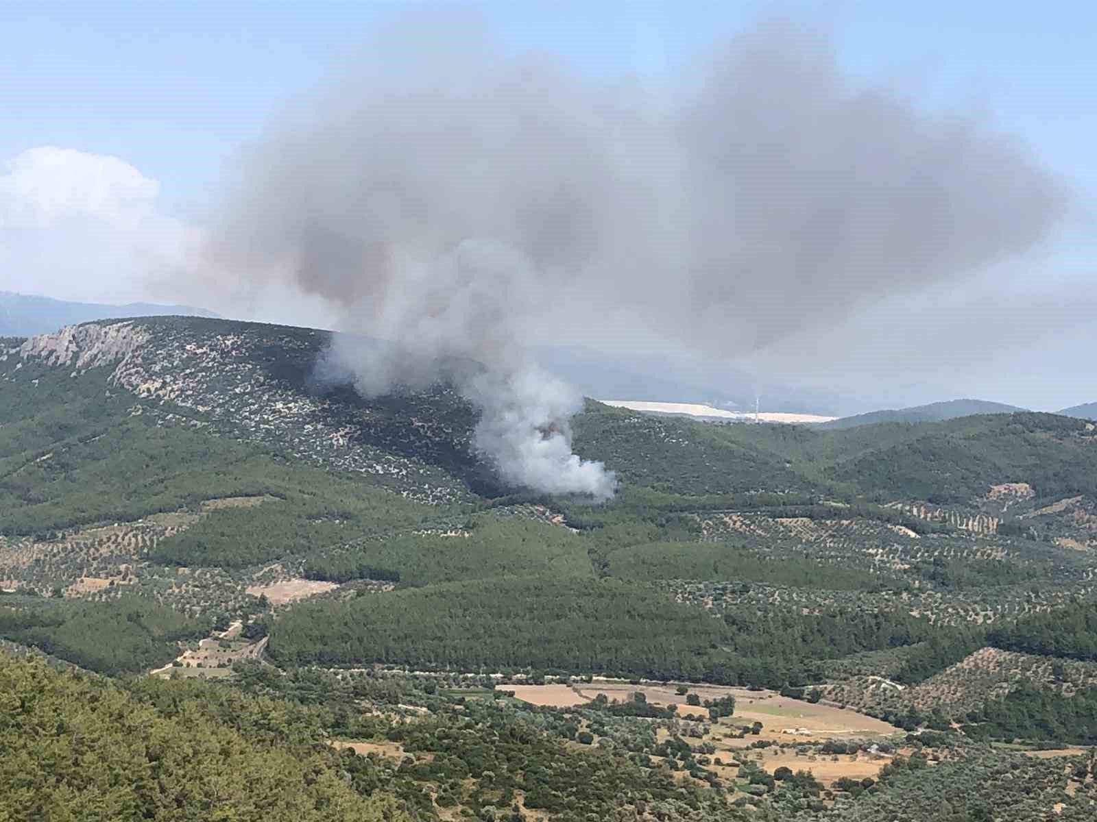 Milas’ta orman yangını
