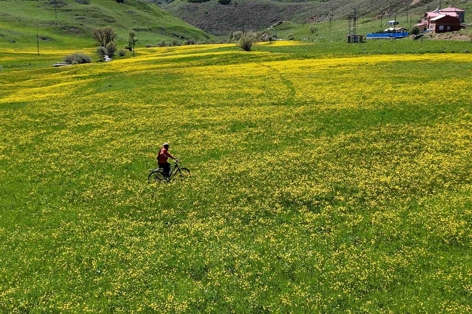 Sarıçiçek Köyü’nde 20 günlük doğa şöleni başladı
