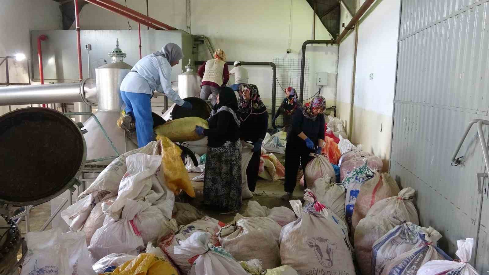 4 tondan sadece 1 litre çıkıyor, litresi 400 bin TL’yi buluyor
