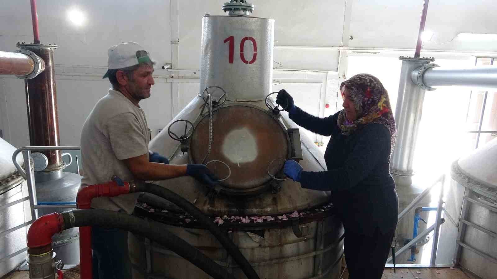 4 tondan sadece 1 litre çıkıyor, litresi 400 bin TL’yi buluyor
