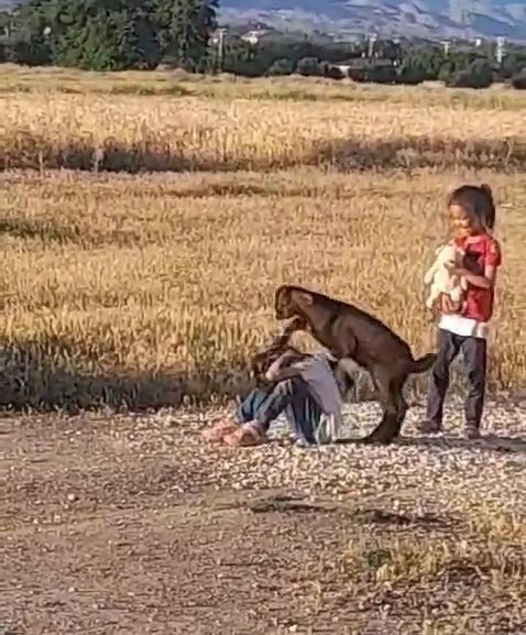 Oğlağın çocuklarla oyunu gülümsetti
