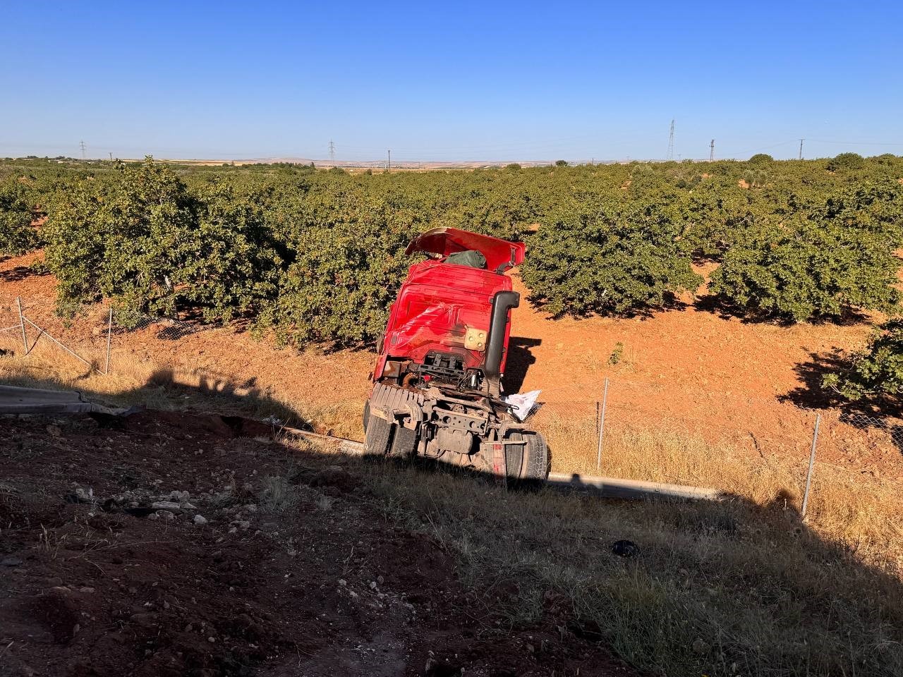 Şanlıurfa’da kurbanlık boğaları taşıyan tır ile traktör çarpıştı
