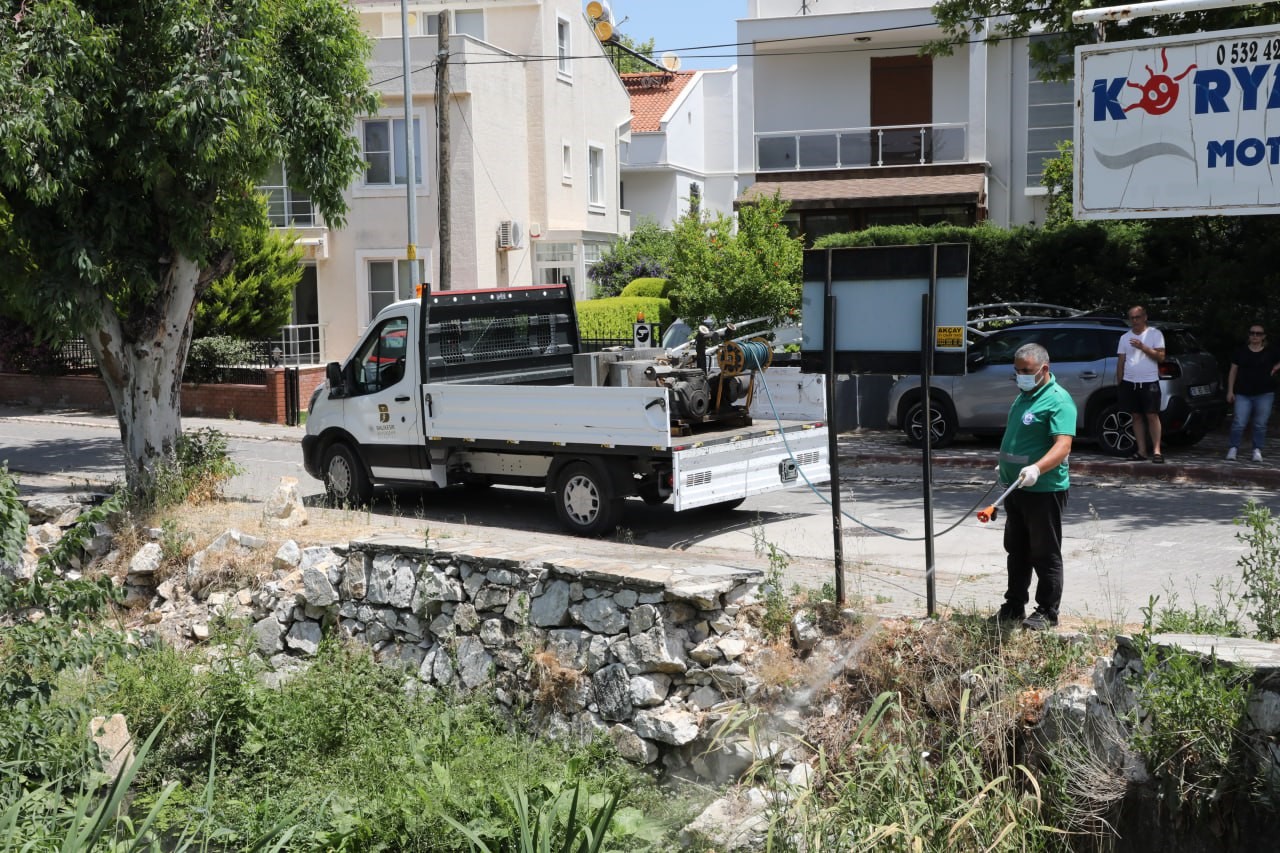 Sivrisinek, unutulan bir bardak suda bile üreyebiliyor
